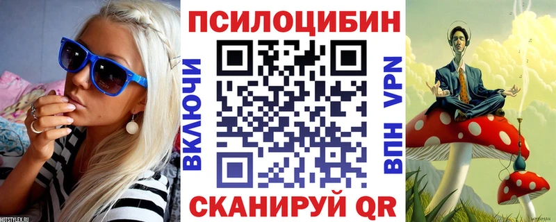Псилоцибиновые грибы прущие грибы  Динская 